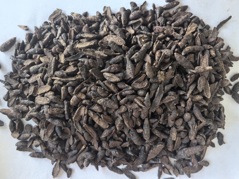 炙香附片中药材香附片东弘药业一手货源现货供应中药材批发零
