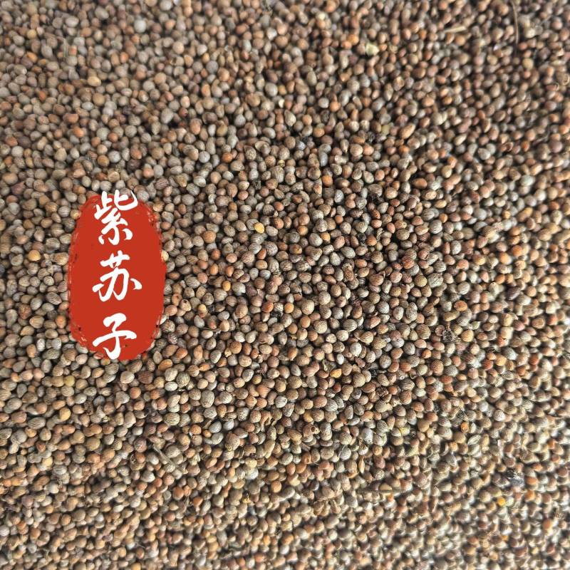 紫苏子中药材苏子东弘药业一手货源现货供应商中药材批发零售