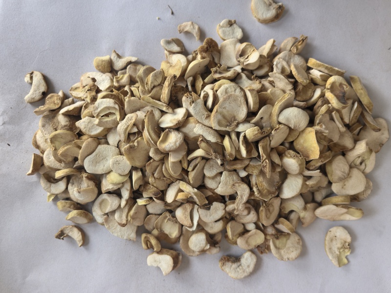 贝母片浙贝母片中药材贝母东弘药业一手货源现货供应中药材批