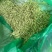 金银花山东金银花双花中药材金银花泡茶东弘药业一手货源现货