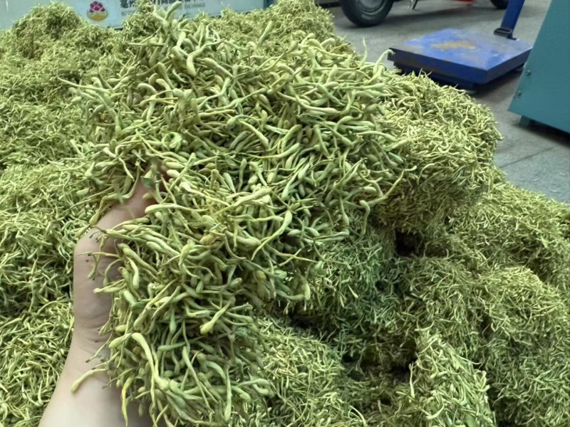 金银花山东金银花双花中药材金银花泡茶东弘药业一手货源现货