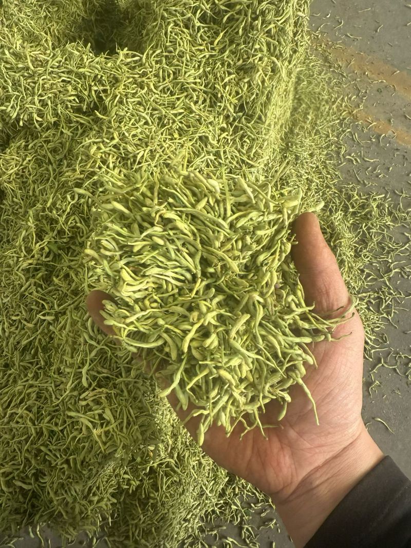 金银花山东金银花双花中药材金银花泡茶东弘药业一手货源现货