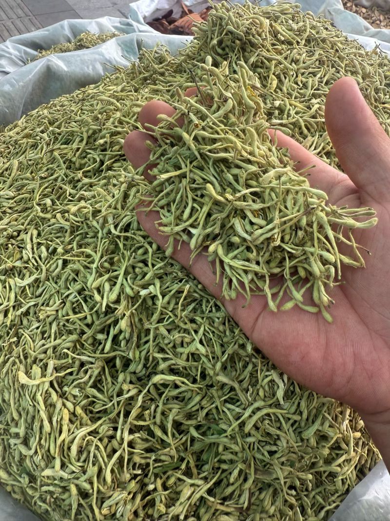 金银花山东金银花双花中药材金银花泡茶东弘药业一手货源现货