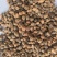 益智仁中药材调料益智仁东弘药业一手货源现货供应