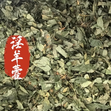 淫羊藿甘肃淫羊藿中药材淫羊藿东弘药业一手货源现货供应