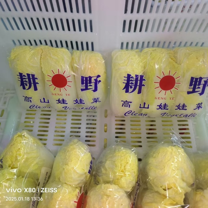 云南精品娃娃菜