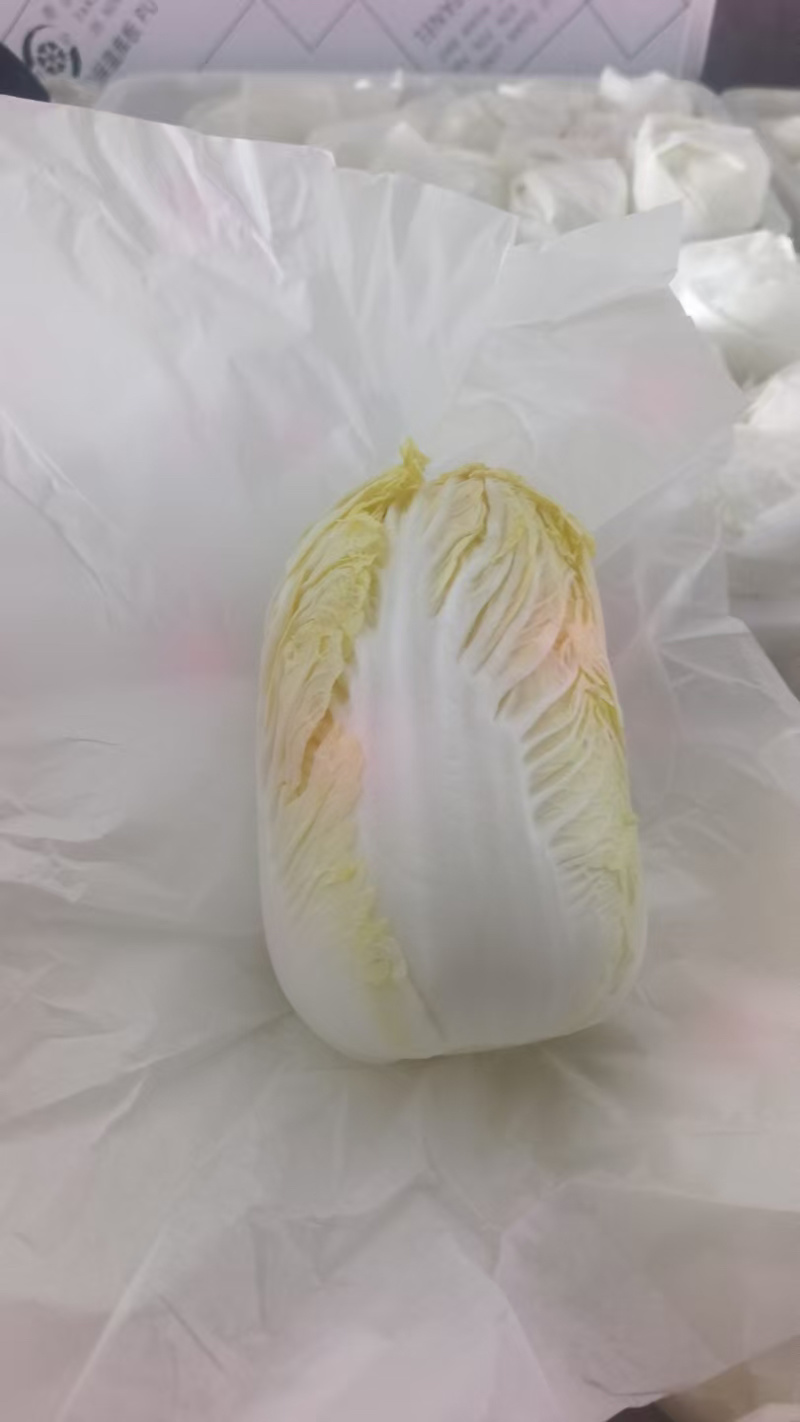 云南精品娃娃菜