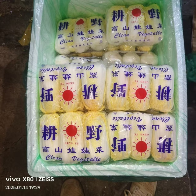 云南精品娃娃菜