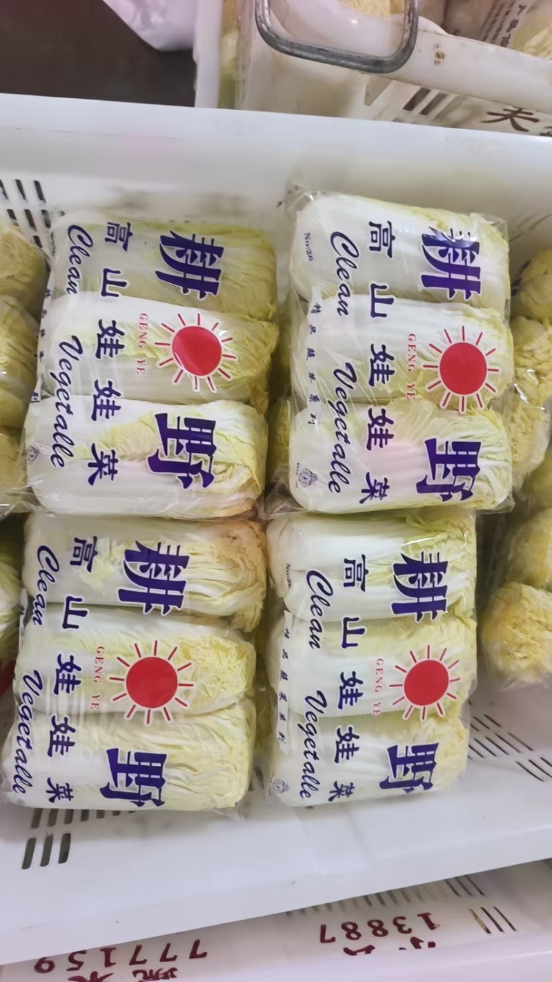 云南精品娃娃菜