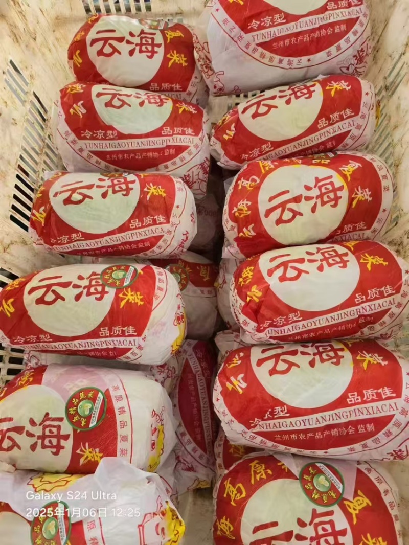 云南精品娃娃菜