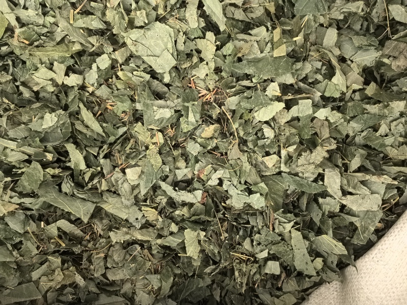 淫羊藿甘肃淫羊藿中药材淫羊藿东弘药业一手货源现货供应