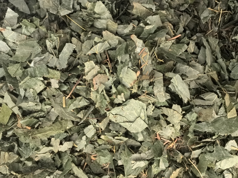 淫羊藿甘肃淫羊藿中药材淫羊藿东弘药业一手货源现货供应
