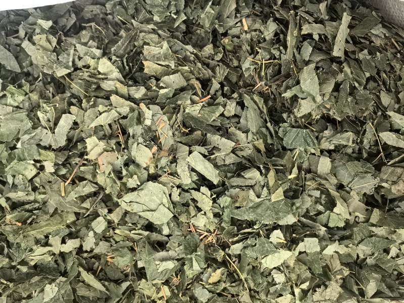 淫羊藿甘肃淫羊藿中药材淫羊藿东弘药业一手货源现货供应