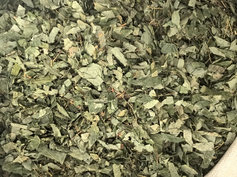 淫羊藿甘肃淫羊藿中药材淫羊藿东弘药业一手货源现货供应