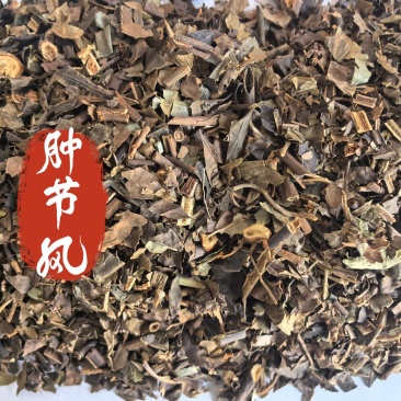 肿节风中药材肿节风东弘药业一手货源现货供应中药材批发零售