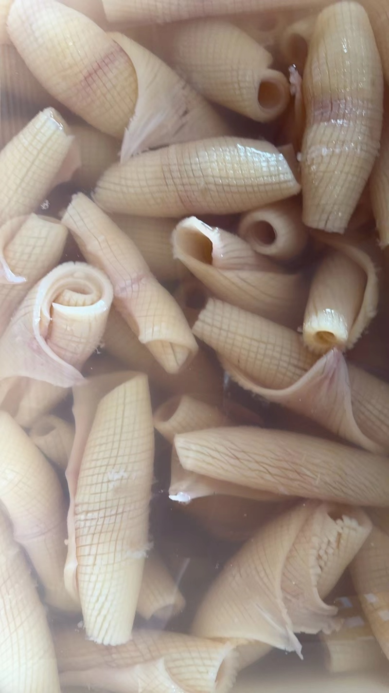 火锅食材鱿鱼须花鱿鱼须火箭鱿鱼自助餐食材
