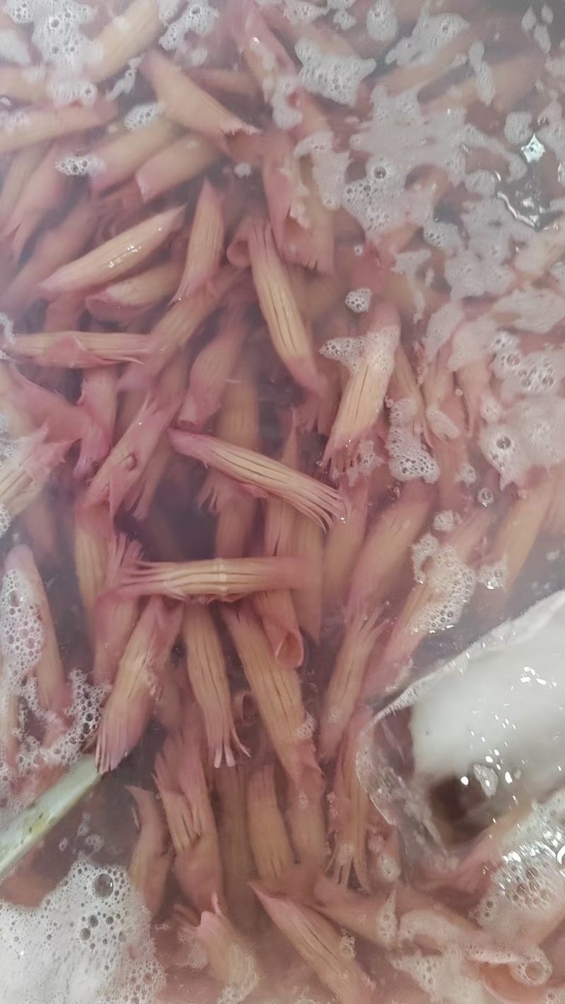 火锅食材鱿鱼须花鱿鱼须火箭鱿鱼自助餐食材