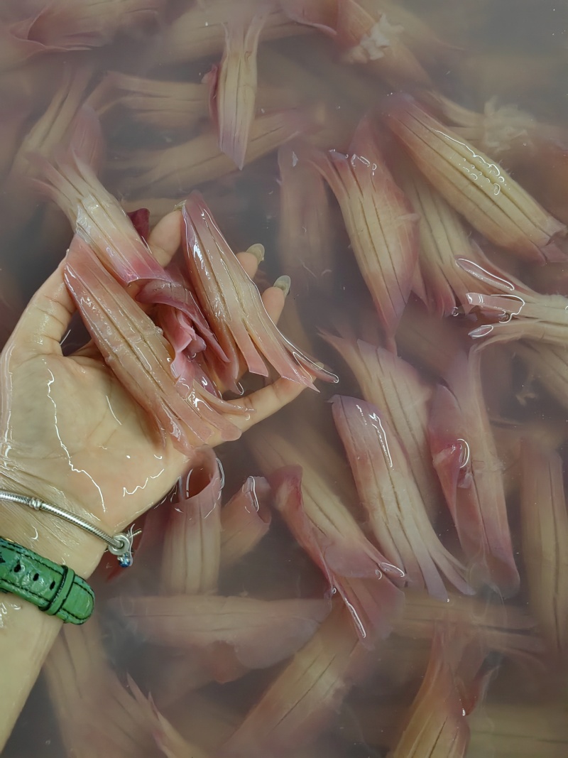 火锅食材鱿鱼须花鱿鱼须火箭鱿鱼自助餐食材