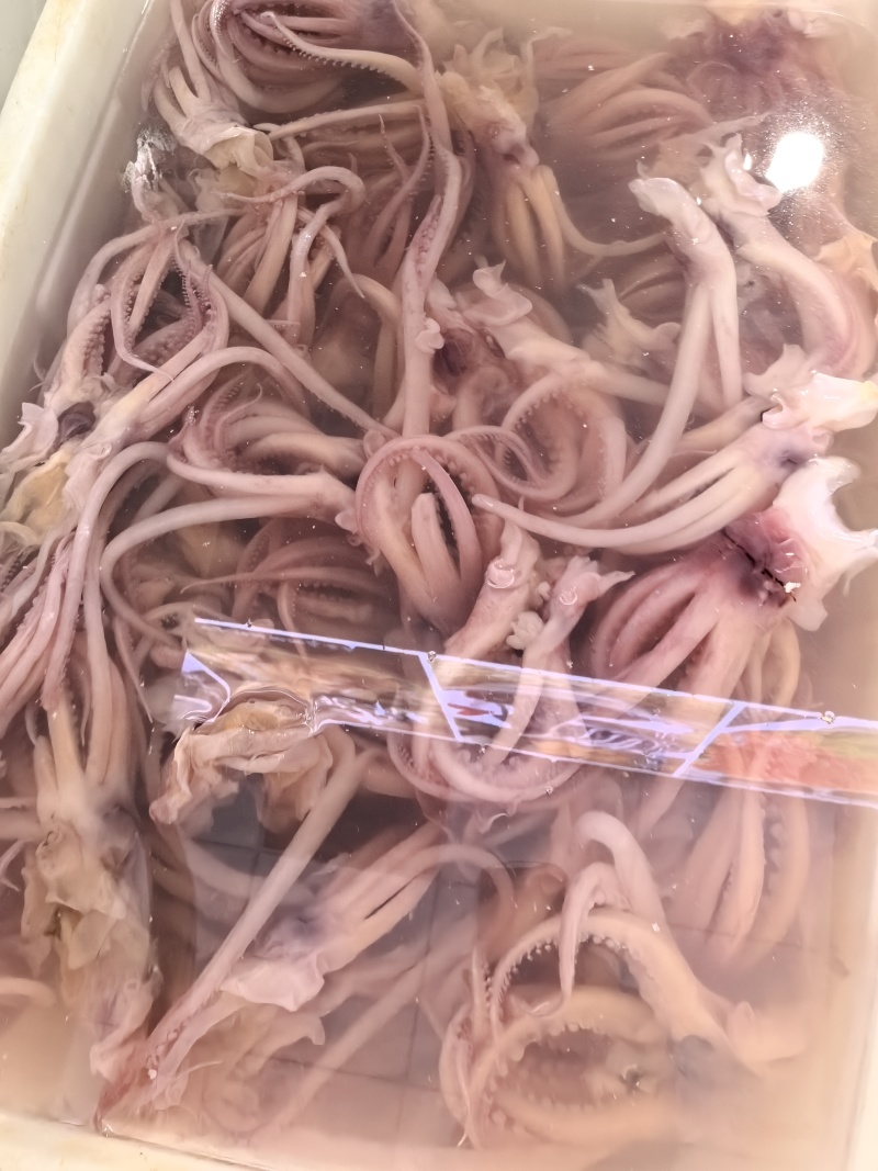 火锅食材鱿鱼须花鱿鱼须火箭鱿鱼自助餐食材