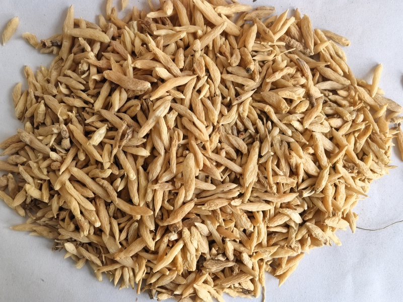 麦冬山麦冬中药材麦冬东弘药业一手货源现货供应中药材批发零
