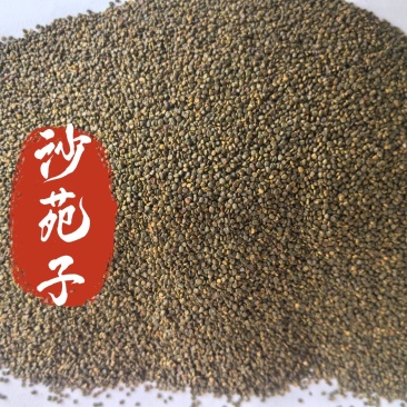 沙苑子中药材沙苑子东弘药业一手货源现货供应中药材批发零售
