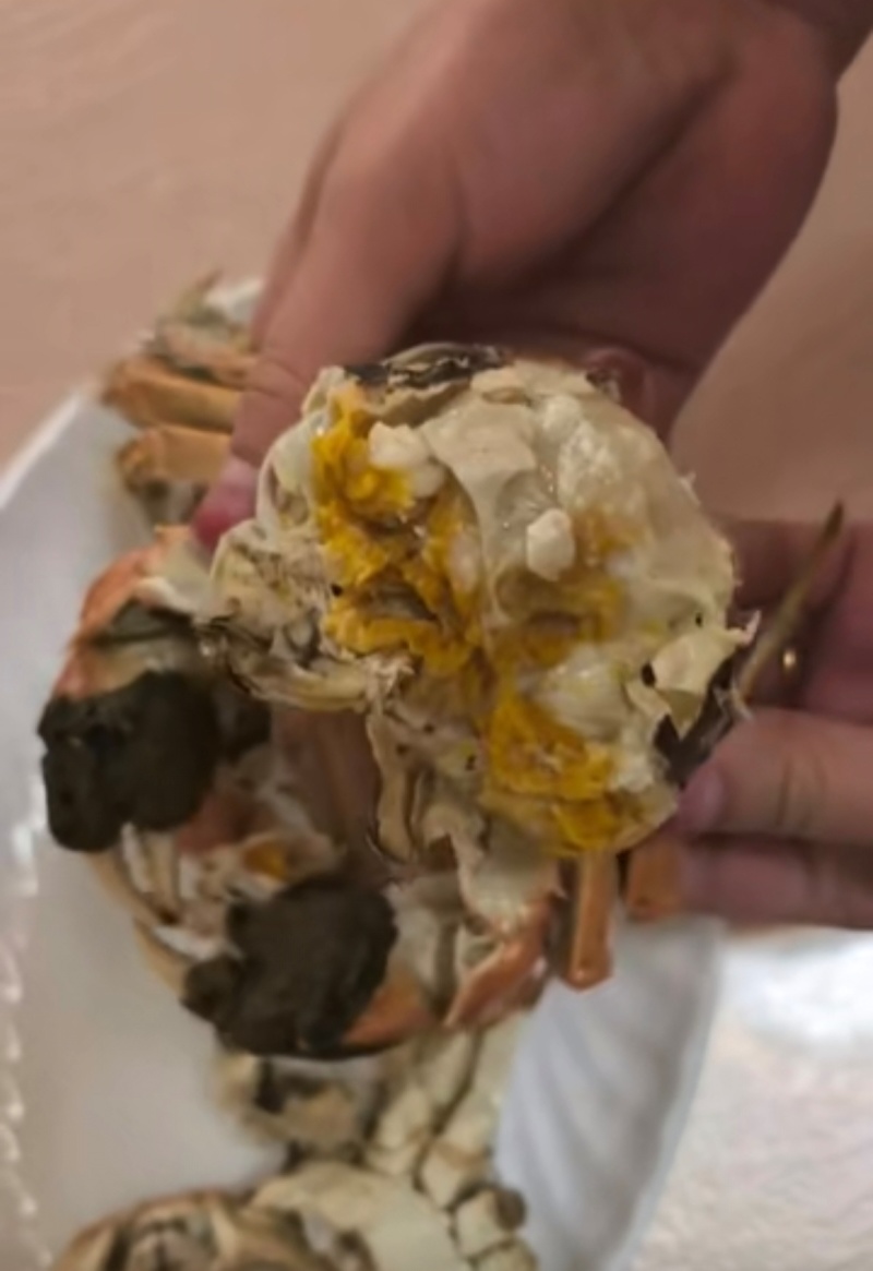 纯正黄河口大闸蟹