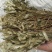 瓜子金中药材无硫瓜子草马回勒瓜子金二月花干货***