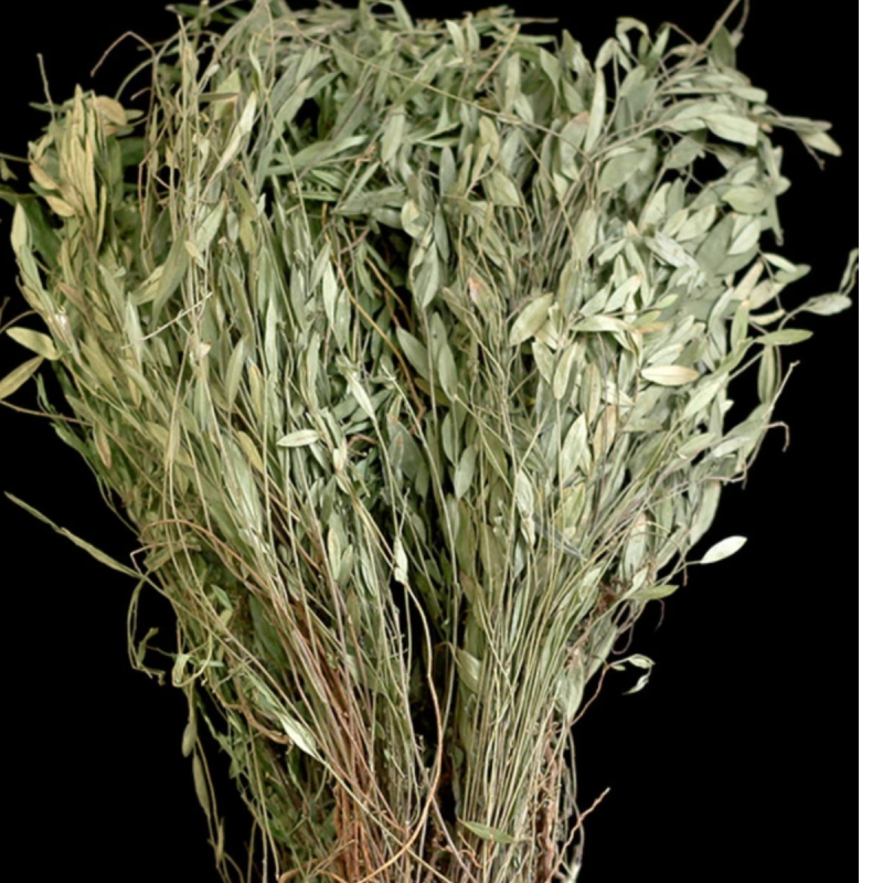 瓜子金中药材无硫瓜子草马回勒瓜子金二月花干货***