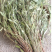 瓜子金中药材无硫瓜子草马回勒瓜子金二月花干货***
