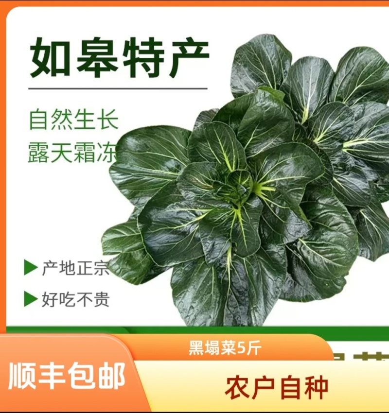 富硒黑塌菜