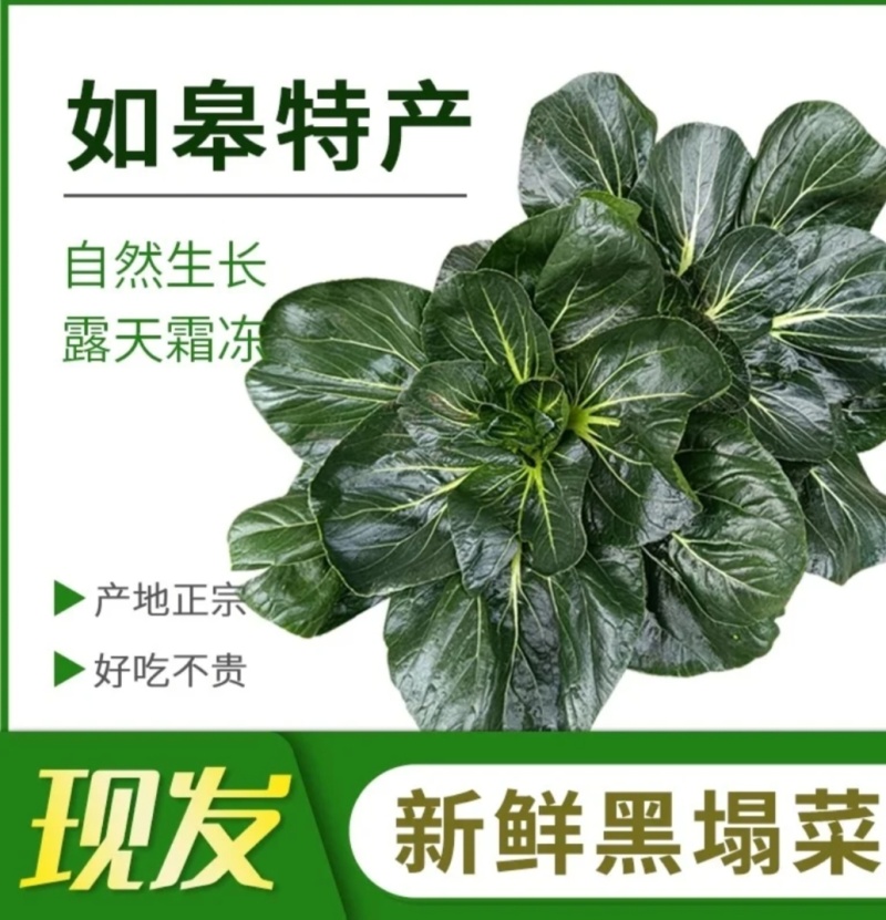 富硒黑塌菜