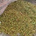 2025年新茶油，精品老茶树，量不多！土茶油
