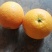冰糖橙，水分足，糖份高