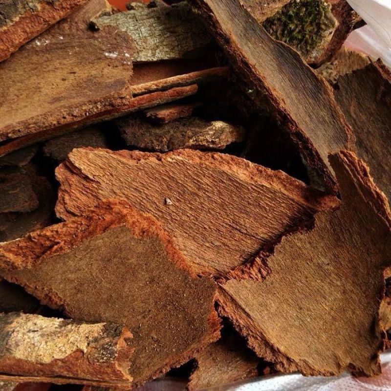 地枫皮中药材正品无硫老桩地风皮康养斋中药材