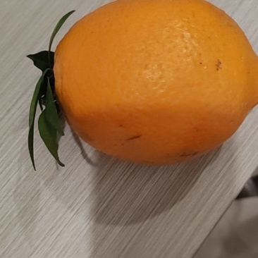 脐橙
