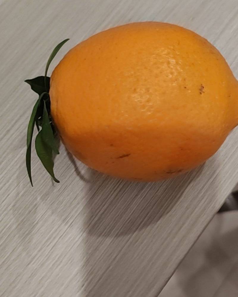 脐橙