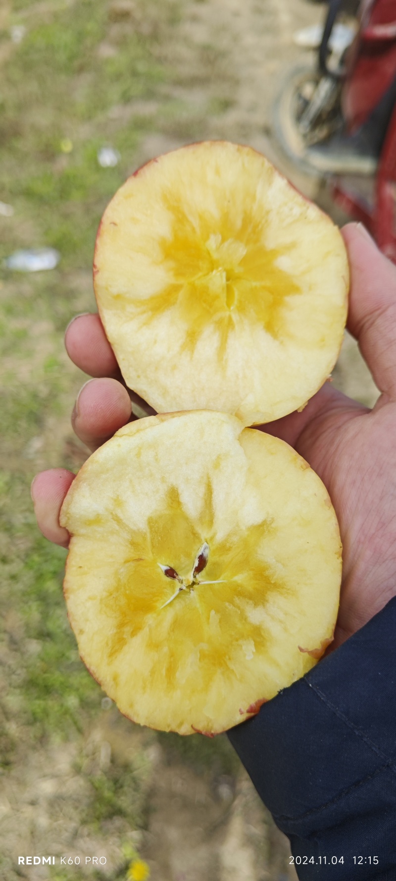 【推荐】山西冰糖心苹果大量供应一手货源品质保证量大从优
