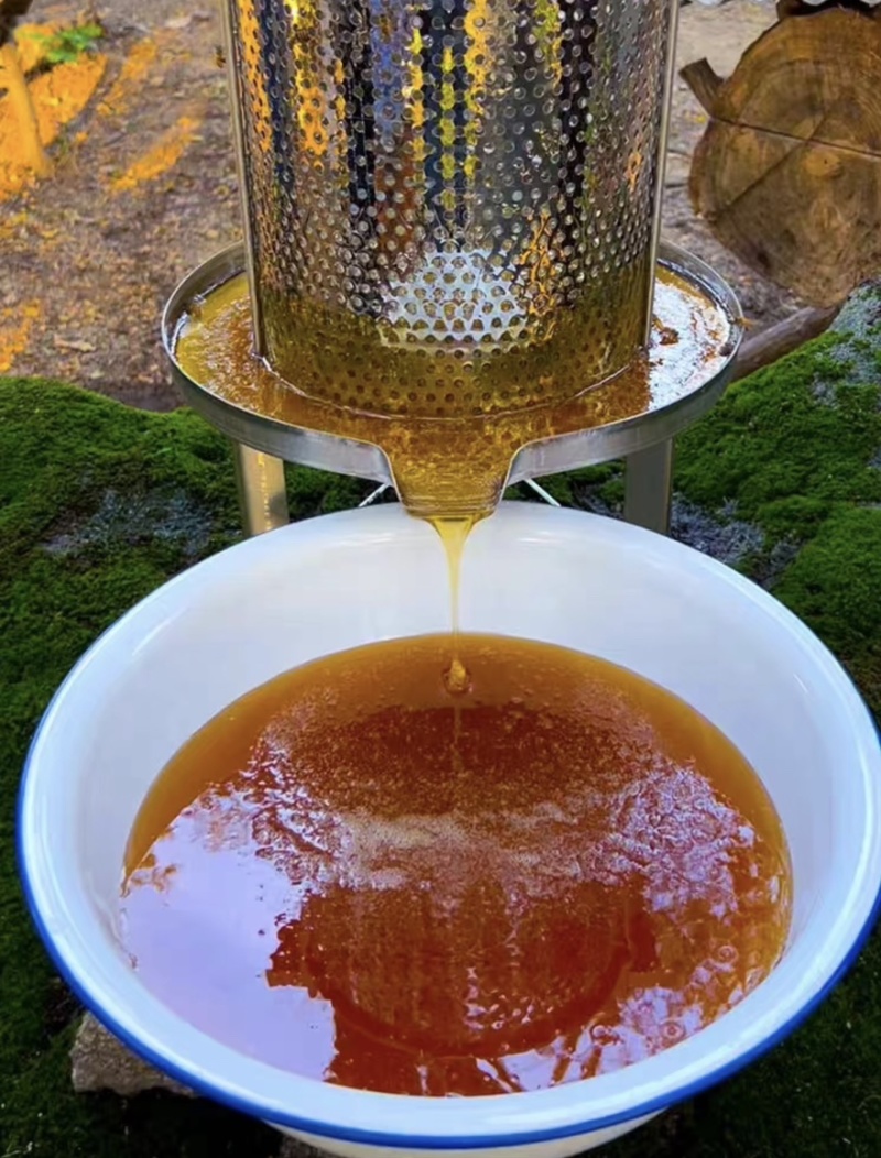 农家自酿土蜂蜜自然成熟封盖蜜源产地直发百花精华酿好蜜