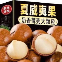 新货夏威夷果罐装奶油味薄皮坚果炒货休闲零食干果送开口器
