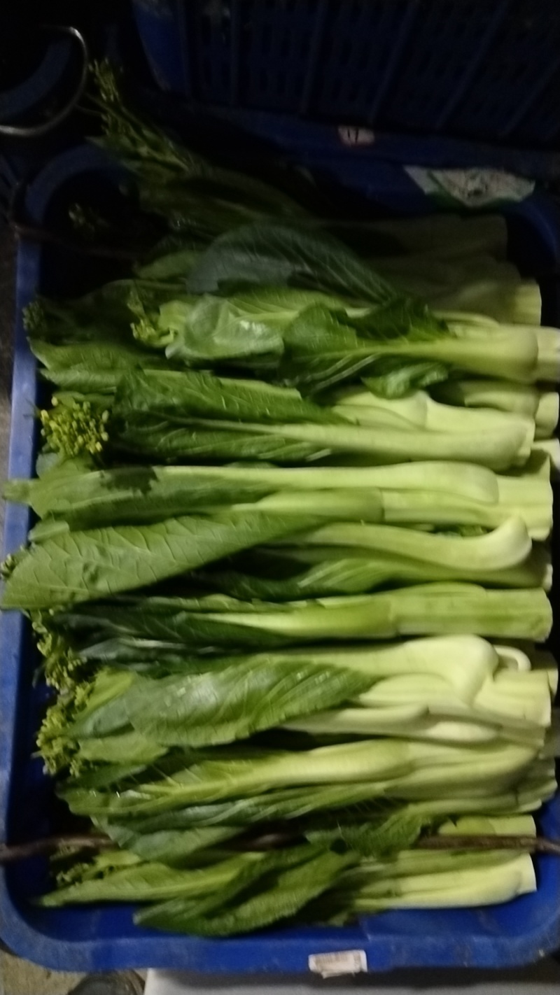 迟菜清脆可口