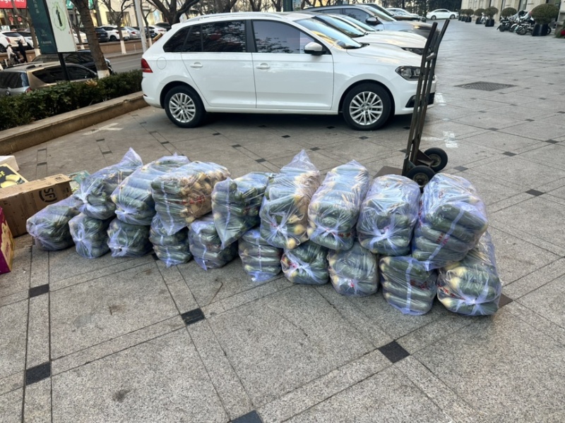 正宗潍县萝卜小紫樱