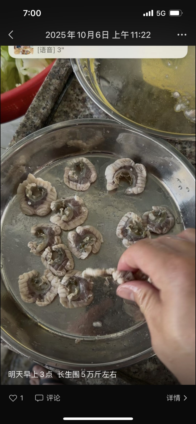大量出售优质吊水中山脆肉皖，全国可发