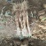 甘肃靖远红葱大葱产地一手货源品质保证全国欢迎联系