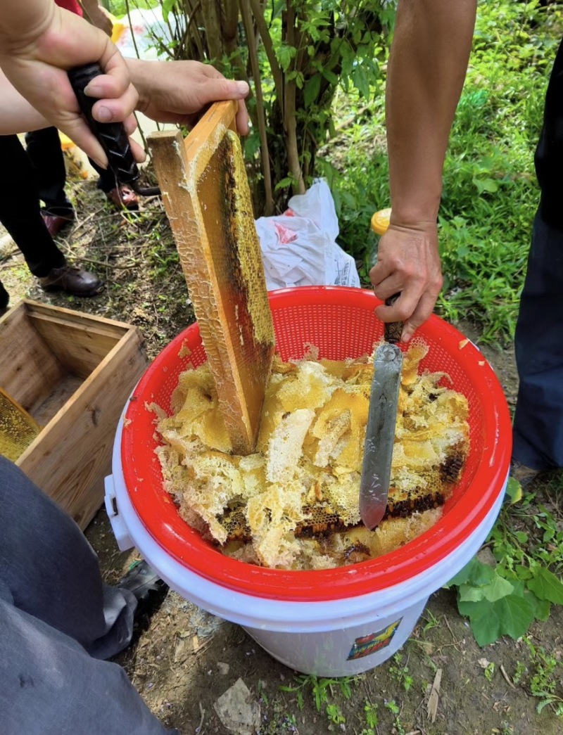农家土蜂蜜自产自销蜂蜜浓浓花香冲泡皆宜欢迎致电