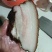扣肉虎皮扣肉
