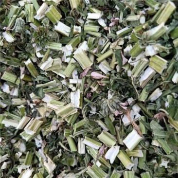 益母草中药材益母草新鲜干货中药材益母草泡水喝天然益母草