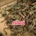 绞股蓝野生正品新鲜特级中药材药用绞股蓝草七叶胆五叶参
