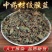 绞股蓝野生正品新鲜特级中药材药用绞股蓝草七叶胆五叶参