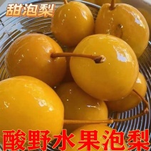 潮汕鸟梨（甜泡梨）