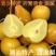 潮汕鸟梨（甜泡梨）